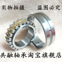 Double-row cylindrical roller bearing NN3006 3007 3008 3009 3010 3011k P5 W33