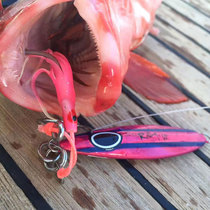 Taiwan JIGNESIS Tumbling luminous iron plate bait slow rocking iron plate road Asian bait 20-800 grams boat fishing sea fishing bait