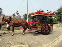 Chinese carriage exhibition props parade commercial performance ancient costume crossing carriage imitation wooden carriage