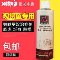 Special specials for Norch raw water tropical ornamental fish