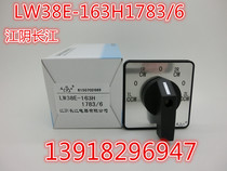 Jiangyin Yangtze River universal transfer switch LW38E-163H1783 6