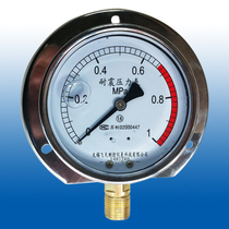 Wuxi Feitian YN100QT radial front side YN100T radial rear side wall-mounted marine seismic pressure gauge