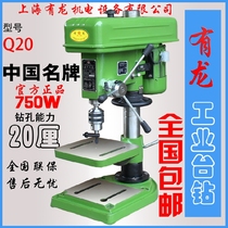 Shanghai Youlong Q20mm bench drill Industrial grade high power motor Woodworking bench drill Buddha bead machine Drilling and milling machine High precision