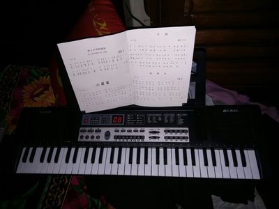 分析金色年代电子琴怎么样,曝光了是真假,通过三个月使用看真相