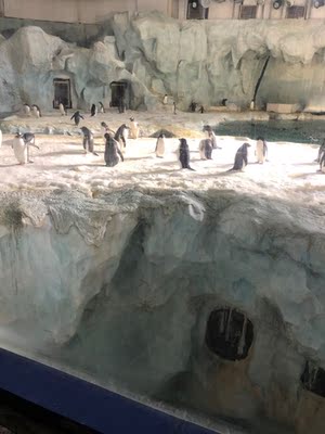 全五分好评 这个我忘记退了 买小了 不错不错不错不错不错不错不错不错不错不错不错不错不错不错不错不错不错不错不错不错不错不错不错不错不错不错不错不错不错不错不错不错不错不错不错不错不错不错不错不错不错不错不错不错不错