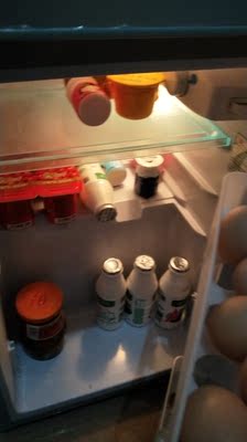 PANDA/熊猫BCD-98小型冰箱冷藏冷冻家用电冰箱宿舍租房双门小冰箱