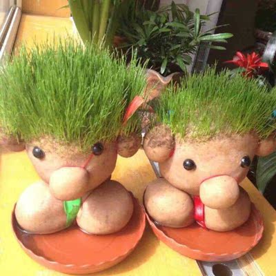 号不标准，可以。