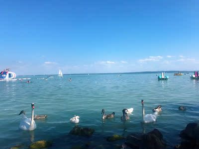 直接外穿也很好看，也不会暴露，大家看美丽的风景就好 嘿嘿~~