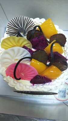 回购两次了，不错，很好穿，下垂就要带钢圈的，回购两次了，不错，很好穿，下垂就要带钢圈的回购两次了，不错，很好穿，下垂就要带钢圈的回购两次了，不错，很好穿，下垂就要带钢圈的回购两次了，不错，很好穿，下垂就要带钢圈的回购两次了，不错，很好穿，下垂就要带钢圈的回购两次了，不错，很好穿，下垂就要带钢圈的回购两次了，不错，很好穿，下垂就要带钢圈的