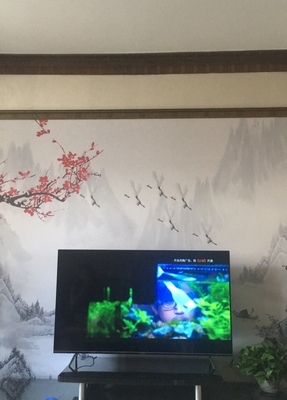 创维电视怎么样,看过再选,创维电视怎么样，质量烂不烂呢,用后反馈