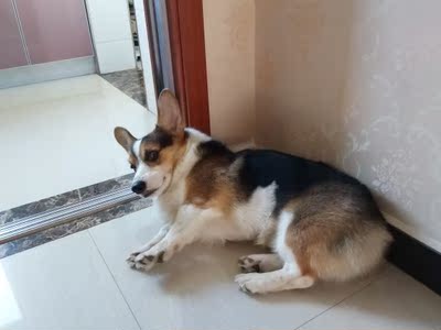 还不错，很聚拢，尺码有点偏小~