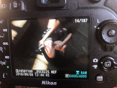 买来拍照用的,超好看 买来拍照用的,超好看