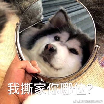 如果不装隐形带会有点不贴身 不过不会掉下来 实用👌🏻