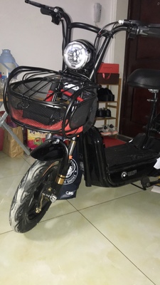 48V新款思帝诺电动车成人电动自行车男女性电瓶车小型锂电代步车