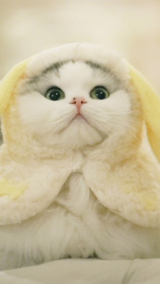 质量非常好，与卖家描述的完全一致，非常满意,真的很喜欢，完全超出期望值，发货速度非常快，包装非常仔细、严实，物流公司服务态度很好，运送速度很快，很满意的一次购物，超级喜欢