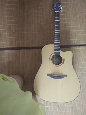 目前看来nightwish拉维斯吉他怎么样,音质好吗?真的是烧火棍吗?