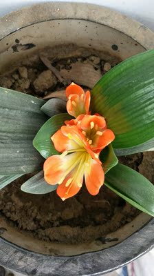 还不错，很好看，喜欢喜欢喜欢喜欢喜欢喜欢喜欢喜欢喜欢喜欢喜欢喜欢喜欢喜欢喜欢喜欢喜欢喜欢喜欢喜欢喜欢喜欢喜欢喜欢喜欢喜欢