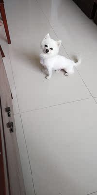 内内不错，下水洗了，料子摸起来很软，很性感哦，价位合理