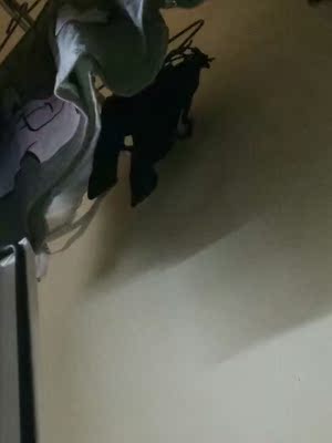 很喜欢的 很喜欢的