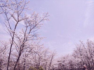 不错不错，很喜欢，穿上没有束缚感，很舒服，强烈推荐！！！