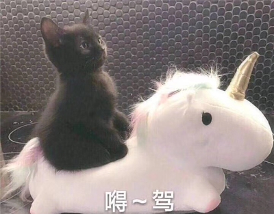 买了好几次了。穿着不错