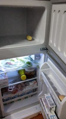 新飞冰箱小型家用双开门宿舍办公室冷藏冷冻租房小冰箱节能特价