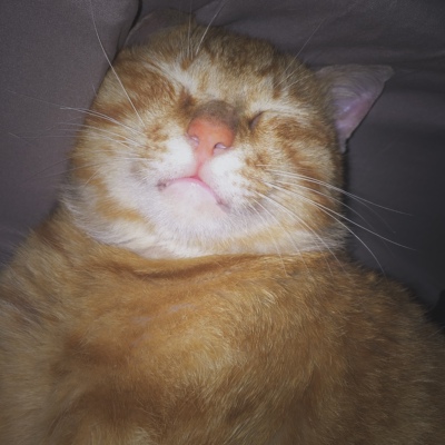 性感 质量也不错 喜欢