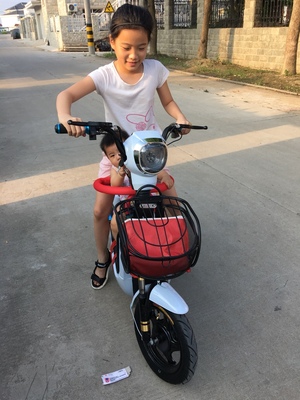 激战新款电动车成人电动自行车48V小型电瓶车男女代步电车电动车