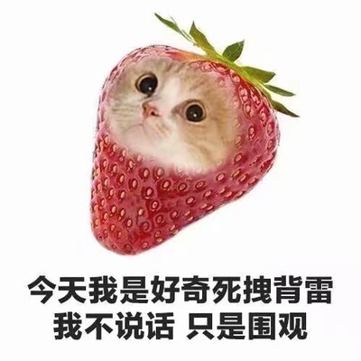 初一想要侧过身，脸冲着晏航，但侧了一下发现会压到腿，只好又翻回去仰躺着。 　　晏航从枕头旁边摸过一个小瓶子，往他枕头上喷了一点儿什么东西。 　　很好闻，淡淡的香味，混着晏航的气息，睡意慢慢涌了上来。 　　&ldquo;是迷，魂香吗？&rdquo;他问。 　　&ldquo;要点儿脸吧土狗，&rdquo;晏航说，&ldquo;薰衣草喷雾，助眠的。&rdquo; 　　&ldquo;&hellip;&hellip;哦。&rdquo;他闭着眼睛笑了笑。