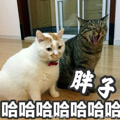 第三条,好看舒服,唯一缺点太容易松变形,所以已经换了三条了 第三条,好看舒服,唯一缺点太容易松变形,所以已经换了三条了