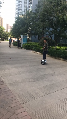 阿尔郎 智能电动自行平衡车双轮体感车两轮成人代步车思维车儿童