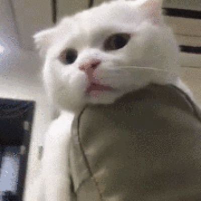 此用户没有填写评价。