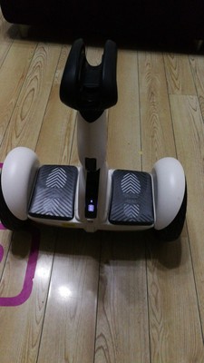 点评领奥平衡车怎么样，真相如何,不看后悔