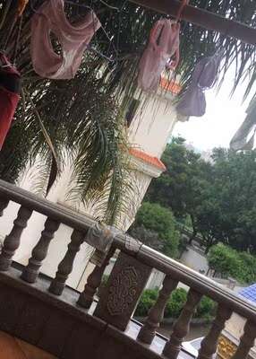 质量很好，很薄透气，下次有需要再来