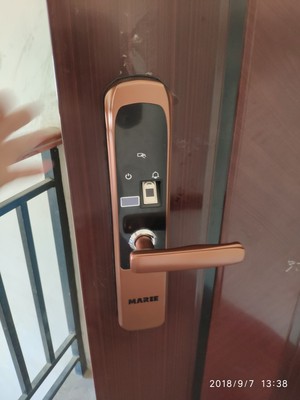 吐槽门锁用MARIE玛丽智能指纹锁怎么样,安全吗,是德国牌子吗?