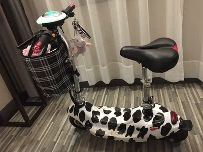 体验raldey电动车怎么样,这个是什么牌子?电池续航能力好吗?