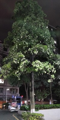 挺满意的，女人就是应该武装自己