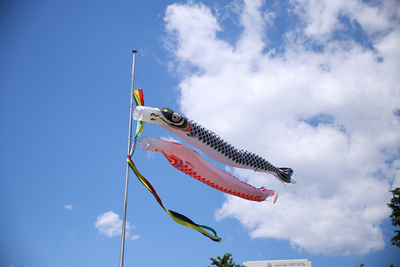 不是很聚拢，搞不懂那个口子是干嘛用的。不是很聚拢，搞不懂那个口子是干嘛用的。不是很聚拢，搞不懂那个口子是干嘛用的。不是很聚拢，搞不懂那个口子是干嘛用的。不是很聚拢，搞不懂那个口子是干嘛用的。不是很聚拢，搞不懂那个口子是干嘛用的。不是很聚拢，搞不懂那个口子是干嘛用的。不是很聚拢，搞不懂那个口子是干嘛用的。