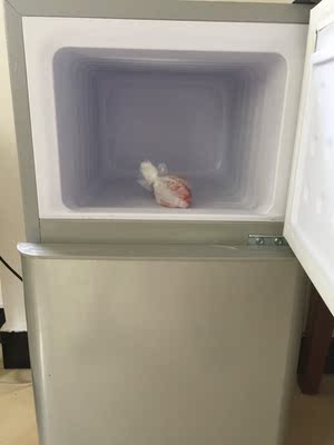 Chigo/志高 BCD-108A冰箱小型家用双门式二人世界双开门宿舍特价