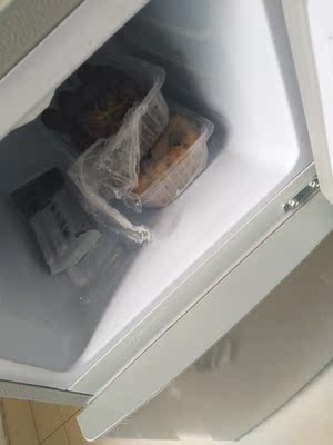 FRESTECH/新飞 BCD-108YD小冰箱L家用宿舍双开门冷藏冻小型电冰箱