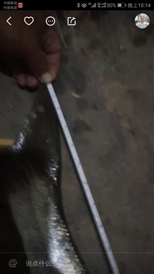 调查心得PURE FISHING鱼杆怎么样,质量好不好呢,值得买吗