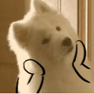 挺好的，妈妈帮我收衣服看到了觉得挺好，让我帮她也买了两件&hellip;&hellip;&hellip;&hellip;&hellip;&hellip;&hellip;&hellip;听说多写点会有积分，我该说些什么？愁&hellip;&hellip; 听说多写点会有积分，我该说些什么？愁&hellip;&hellip; 听说多写点会有积分，我该说些什么？愁&hellip;&hellip; 听说多写点会有积分，我该说些什么？愁&hellip;&hellip; 听说多写点会有积分，我该说些什么？愁&hellip;&hellip;