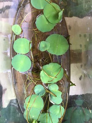 发货速度超级快,包装很严密,还没用,看起来不错,送了很多东西,性价比很高,全五分好评。 发货速度超级快,包装很严密,还没用,看起来不错,送了很多东西,性价比很高,全五分好评。