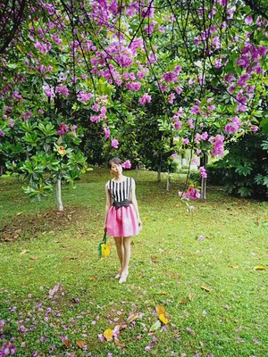 一如既往的好，我喜欢穿裙子，所以各种丝袜必备，每次都是10几双的购买。