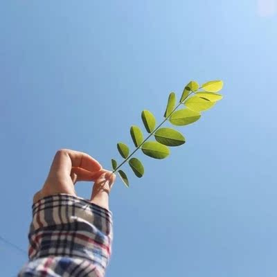 以前在天猫淘宝上买东西，都是系统自动好评，花了有好多好多钱，后来才知道淘宝评论得积分可以涨淘气值时，才知道评论的重要性，所以以后无论买什么东西，我都先把这段话复制粘贴下来，然后再写宝贝评论，没错，评论80个字以上就可以获得50个积分。