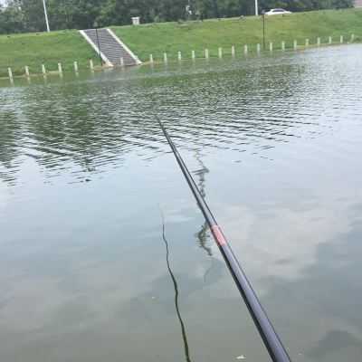 解说美人鱼鱼竿怎么样,排名第几,质量如何呢