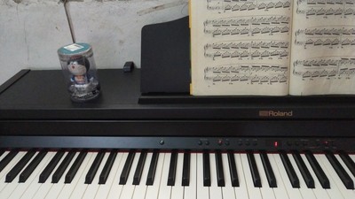 罗兰电钢琴口碑怎么样,优缺点,罗兰电钢琴怎么样,罗兰电钢琴质量真的很好吗?