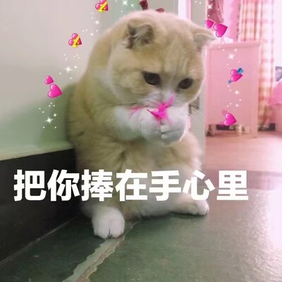 不是聚拢类型的,但是穿上很舒服,也很好看,大爱 不是聚拢类型的,但是穿上很舒服,也很好看,大爱