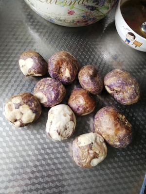 讨论阿诗顿空气炸锅怎么样,三个月使用彻底后悔了,内幕曝光