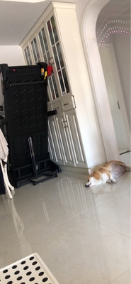 火爆的速尔跑步机怎么样，质量很差是真的吗